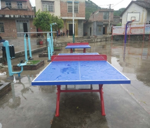 柳州乒乓球臺批發(fā)，紅雙喜乒乓球臺代理